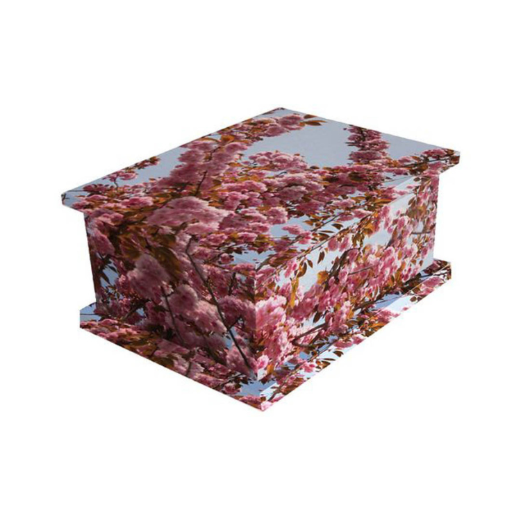Untitled design (9)