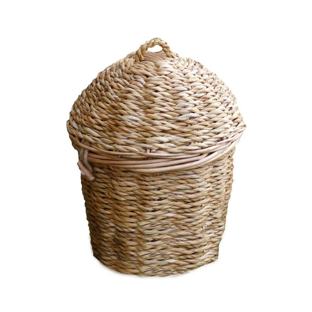 seagrass-1920w